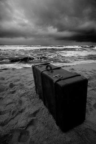 96034036 281482056586743 3440798476642811904 n