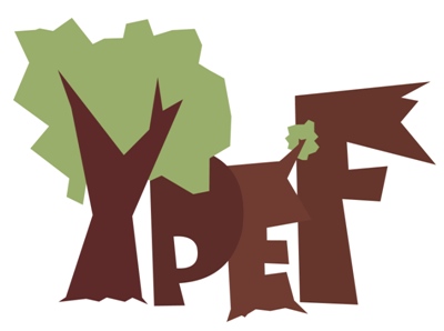 logo ypef_port