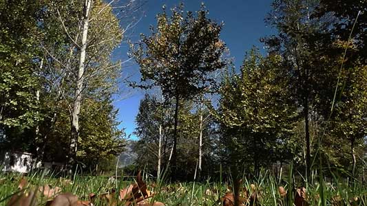 ergostasio-prosotsani